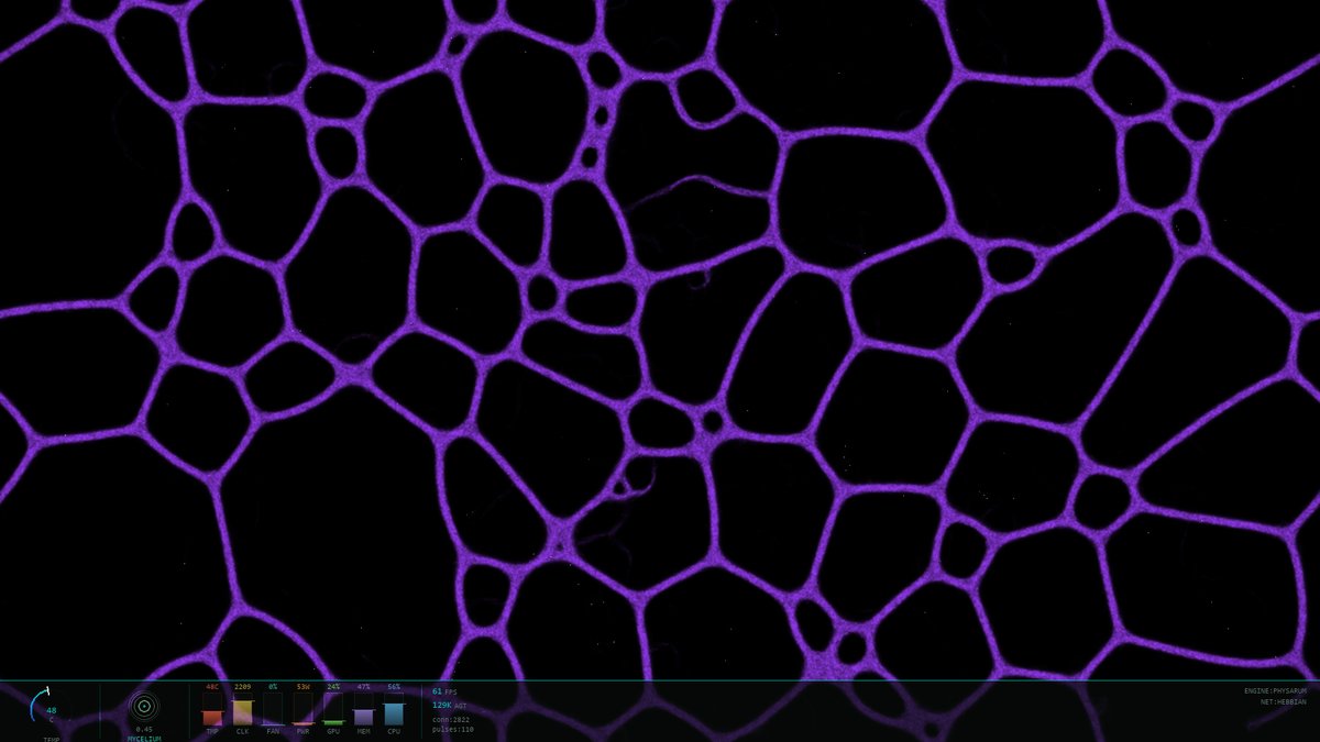 Neural-Mycelium · live preview · still frame.