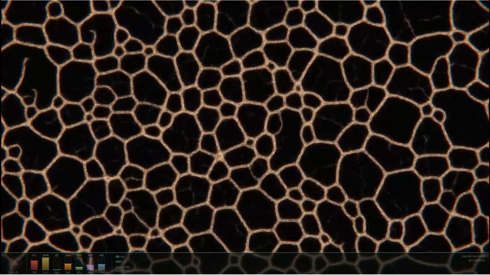 Neural-Mycelium · live preview · still frame.