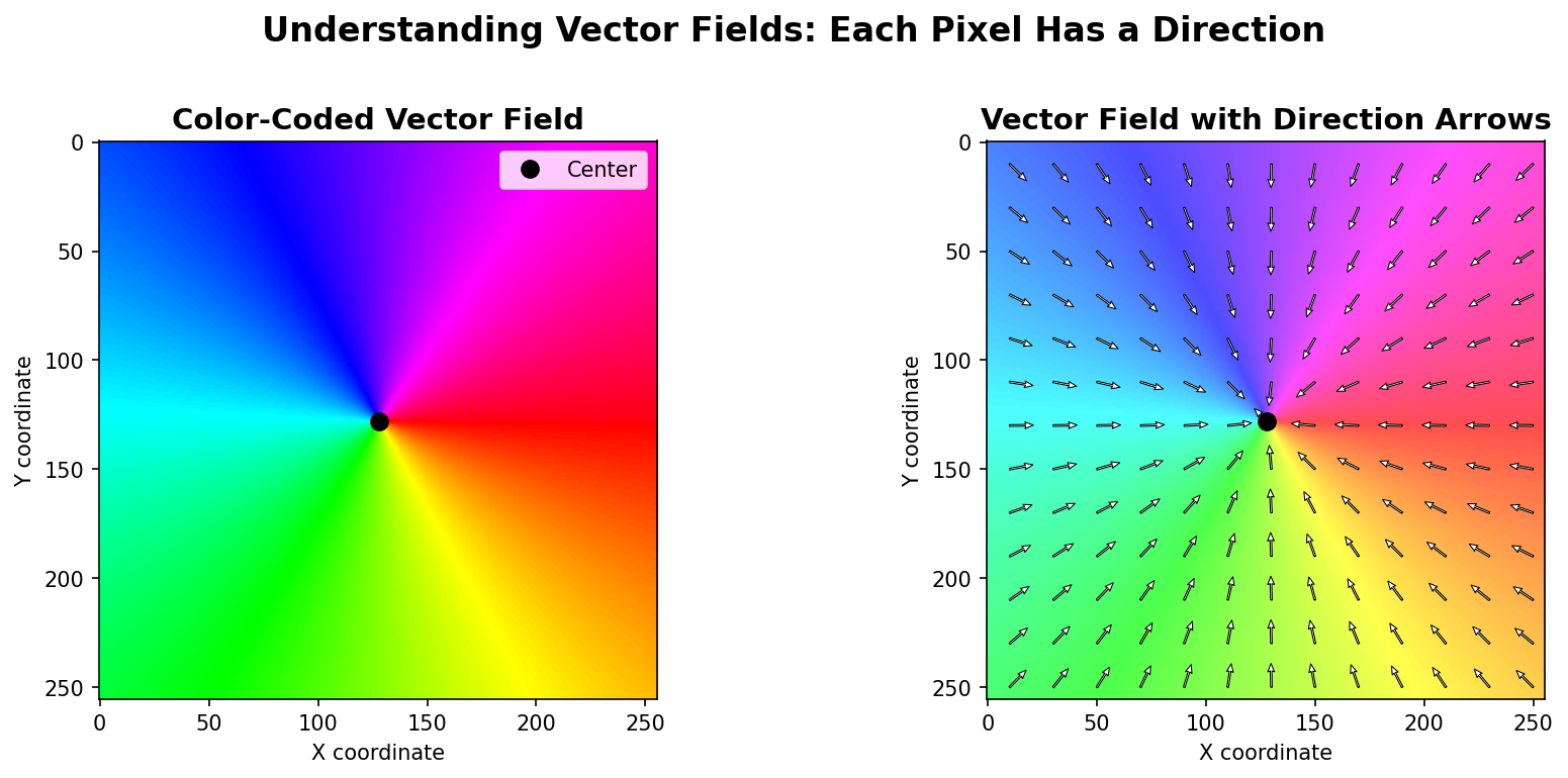 Two-panel diagram: on the left a colour-coded vector field where each pixel's colour indicates the direction toward centre, on the right the same field with arrows overlaid showing the actual vectors