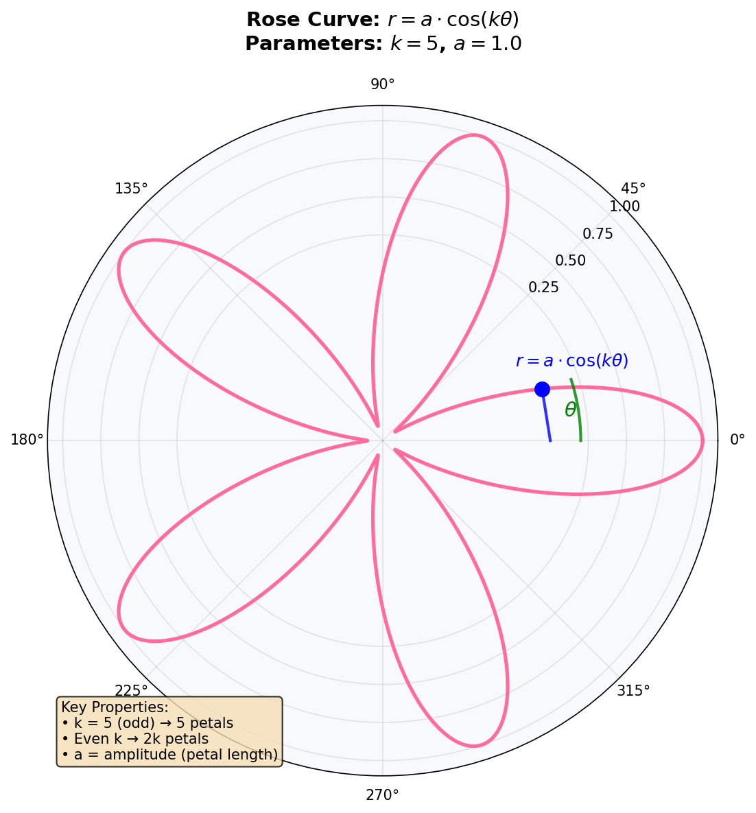 Polar diagram showing the radius r as a function of angle theta for a rose curve, with arrows indicating how each angle theta maps to a radius given by a cosine of k theta