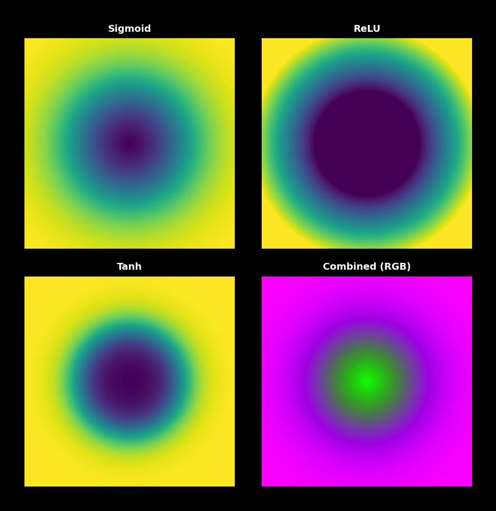 A grid showing the same input image transformed by different activation functions. Each panel shows how the activation reshapes the brightness distribution.