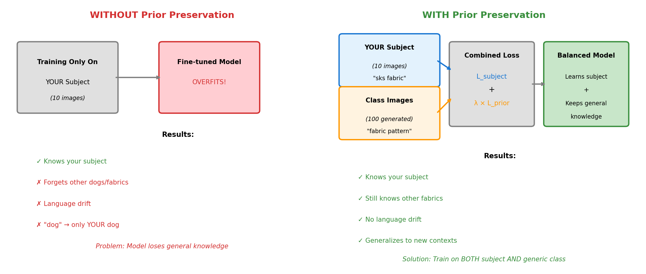 Side-by-side comparison showing a model trained without prior preservation losing the ability to generate generic concepts while the prior-preserved model retains them